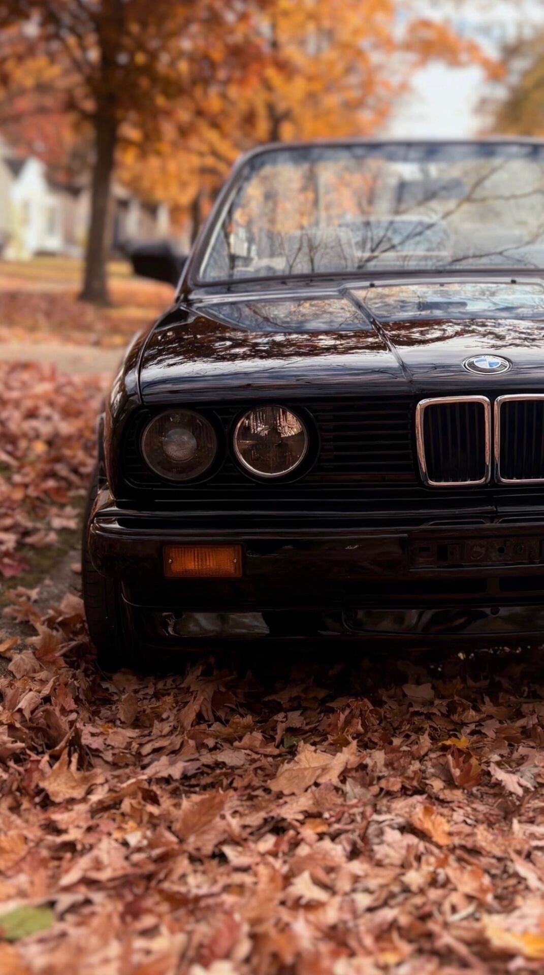 BMW E30